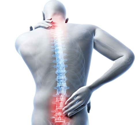 spinal-pain-ssynovium